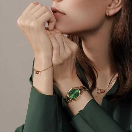 Daniel Wellington Daniel Wellington DW00100420 naisten kello 2