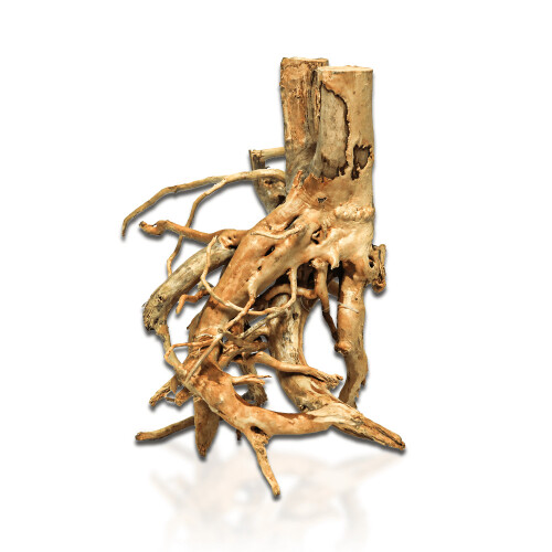 (Aqua One Azalea Root 30 - 40cm) Aqua One Azalea Root 1