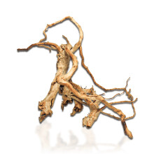(Aqua One Azalea Root 20 - 30cm) Aqua One Azalea Root