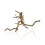 (Aqua One Azalea Root 30 - 40cm) Aqua One Azalea Root 3