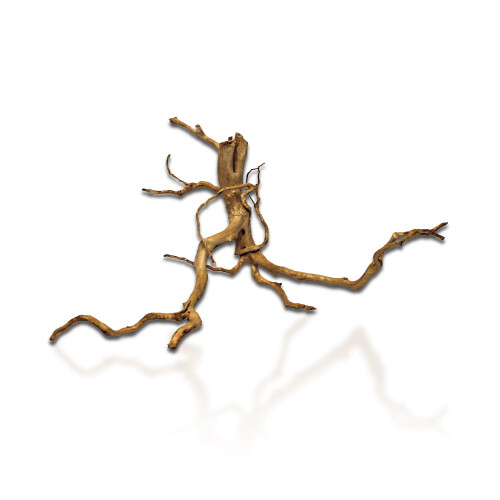 (Aqua One Azalea Root 30 - 40cm) Aqua One Azalea Root 2