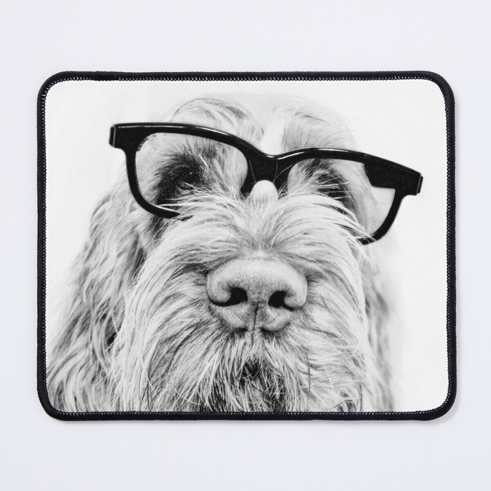 Mouse Pad Intelligent Friend Spinone 11.8 X 9.8 Inch Computer Mat Gaming Office Mousepad 7802738149982