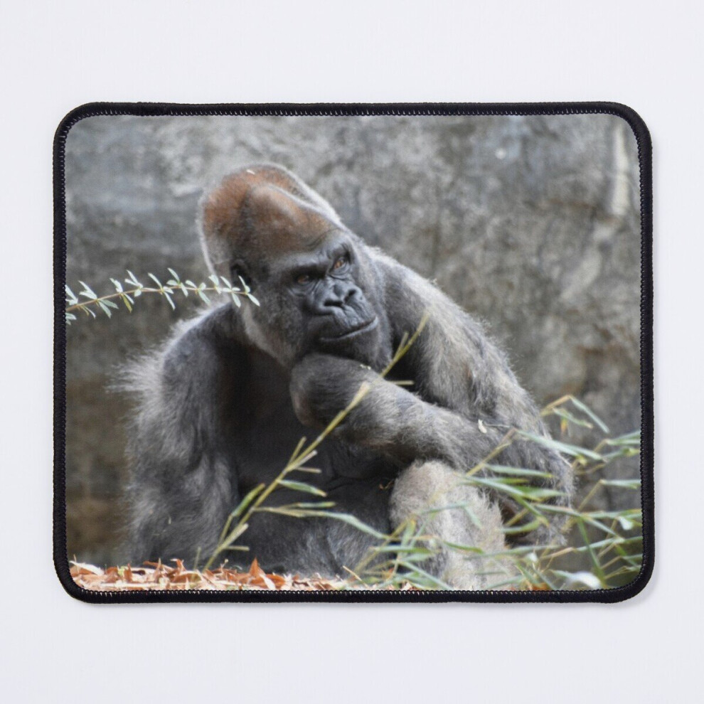 Mouse Pad Ozzie The Gorilla At Zoo Atlanta 11.8 X 9.8 Inch Computer Mat Gaming Office Mousepad 7802738205992