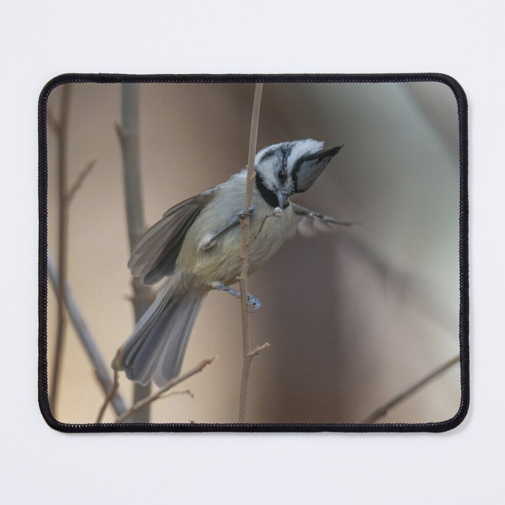 Mouse Pad Bridled Titmouse Eating 11.8 X 9.8 Inch Computer Mat Gaming Office Mousepad 7802738166590