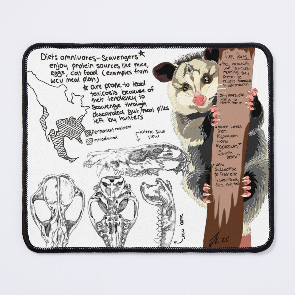 Mouse Pad Awesome Opossum 11.8 X 9.8 Inch Computer Mat Gaming Office Mousepad 7802738175431