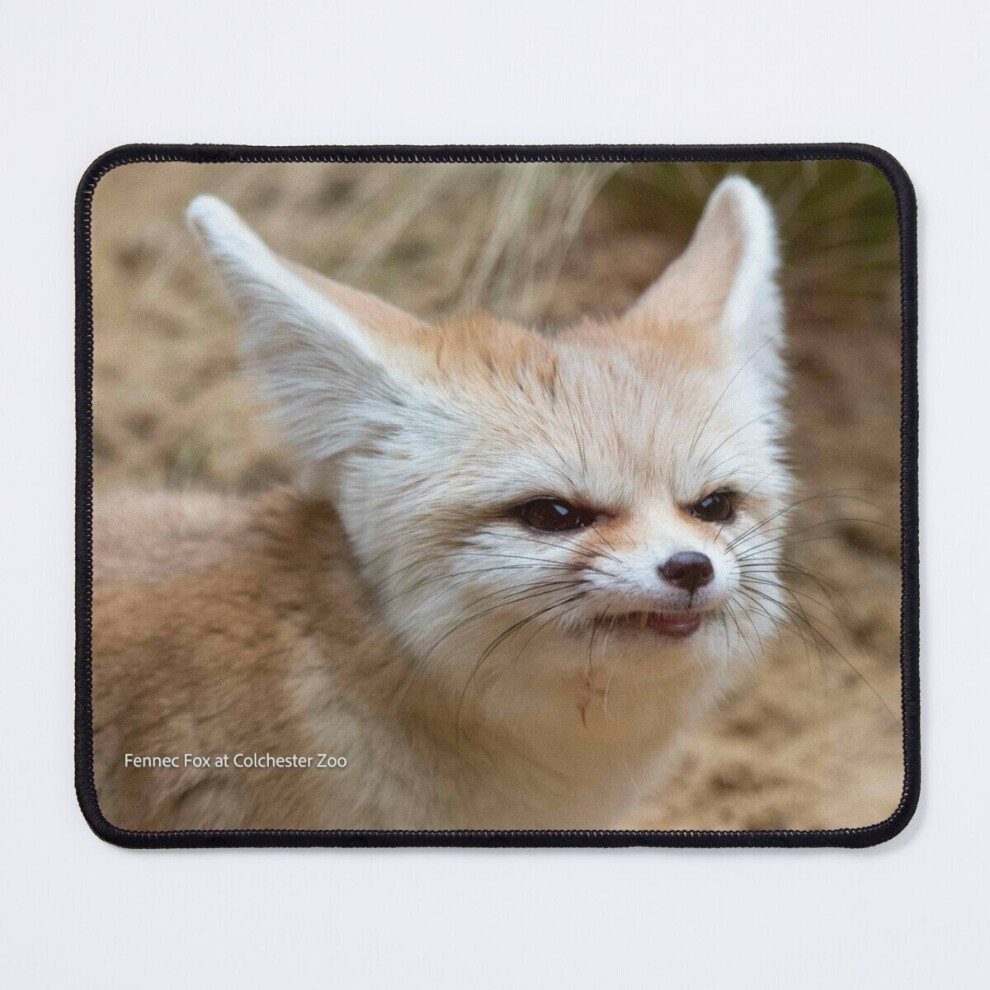 Mouse Pad Fennec Fox (Colchester Zoo) 11.8 X 9.8 Inch Computer Mat Gaming Office Mousepad 7802738154153