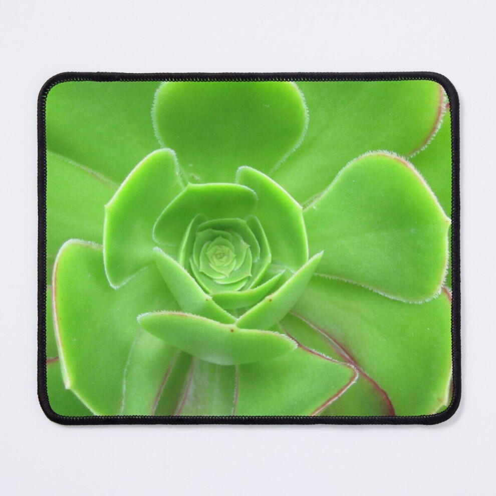 Mouse Pad Succulent Rose 11.8 X 9.8 Inch Computer Mat Gaming Office Mousepad 7802738148046