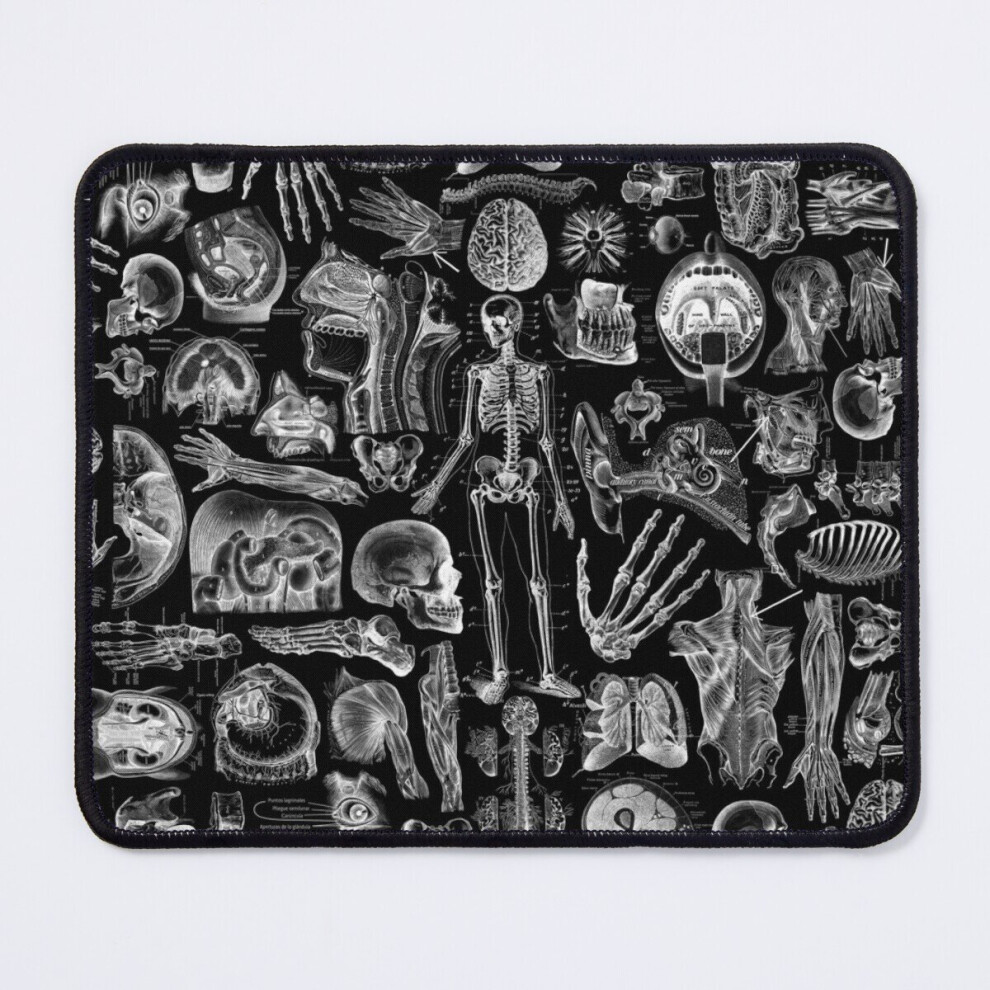 Mouse Pad Human Anatomy Print 11.8 X 9.8 Inch Computer Mat Gaming Office Mousepad Black 7802738160079