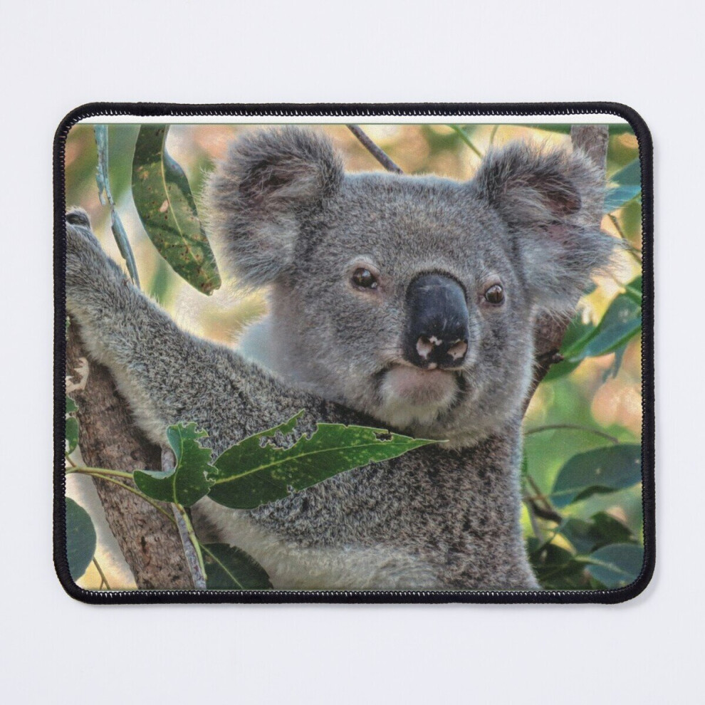 Mouse Pad Bullet Among The Gum Leaves 11.8 X 9.8 Inch Computer Mat Gaming Office Mousepad 7802738135053