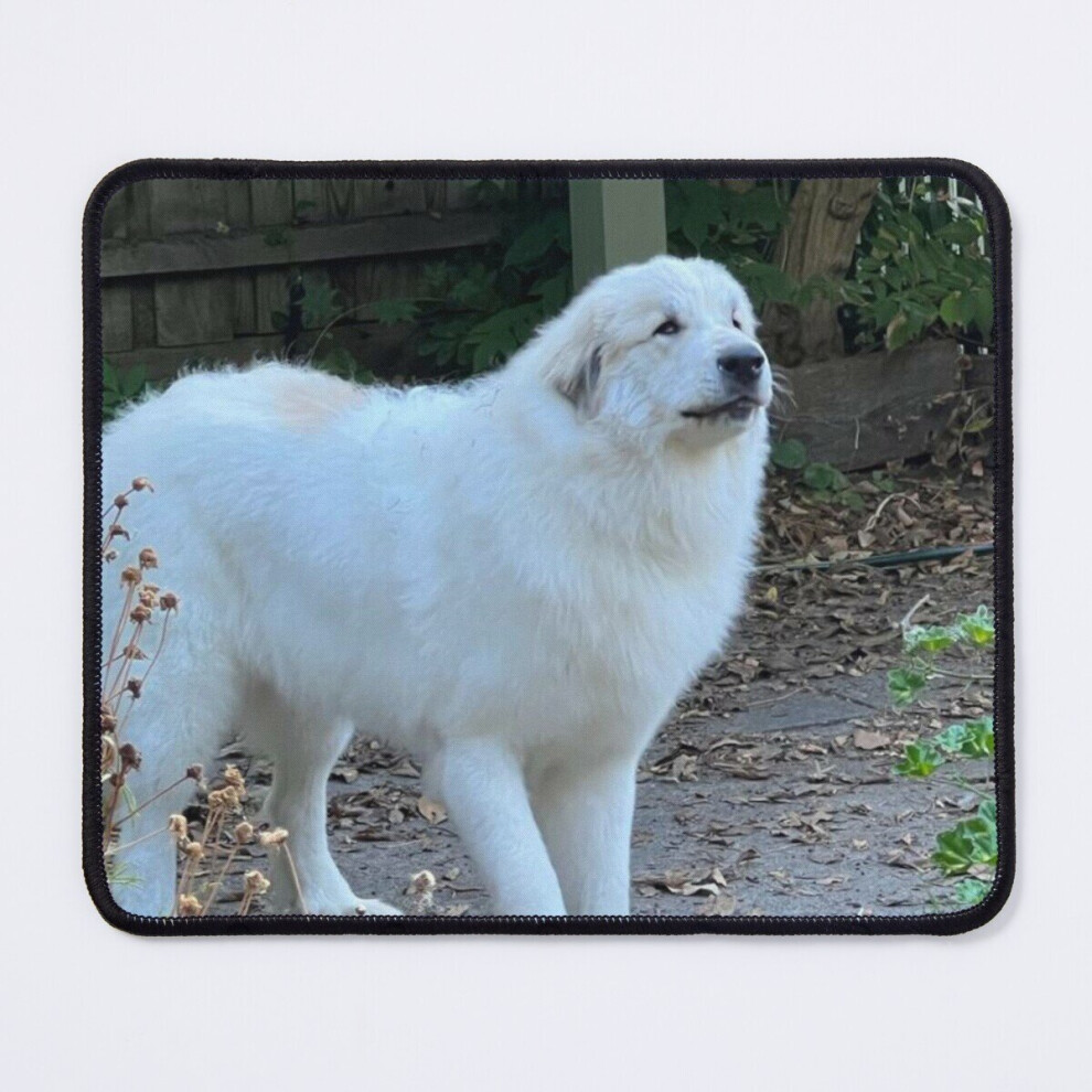 Mouse Pad 'Putting Right Paw Forward" 11.8 X 9.8 Inch Computer Mat Gaming Office Mousepad 7802738144345