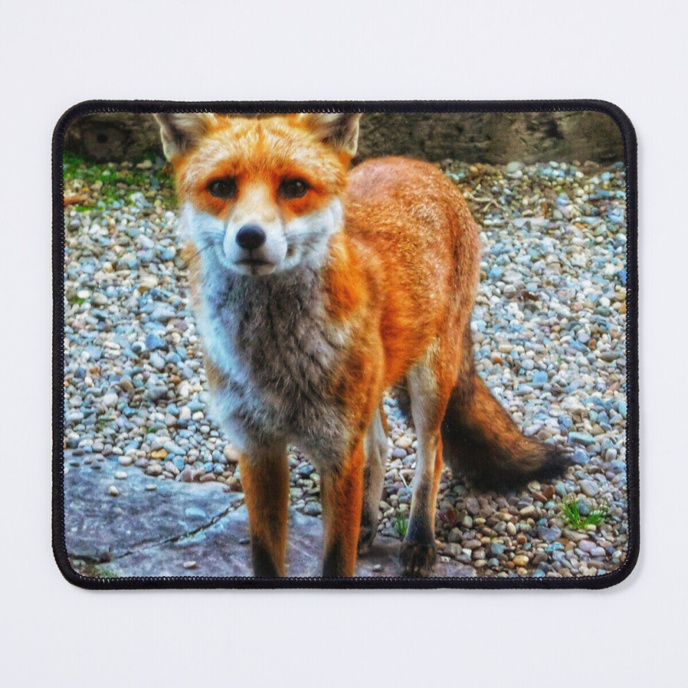 Mouse Pad A Friendly Fox 11.8 X 9.8 Inch Computer Mat Gaming Office Mousepad 7802738182095