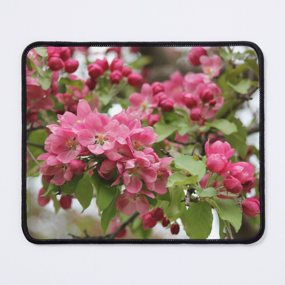 Mouse Pad Spring 11.8 X 9.8 Inch Computer Mat Gaming Office Mousepad 7802738146288