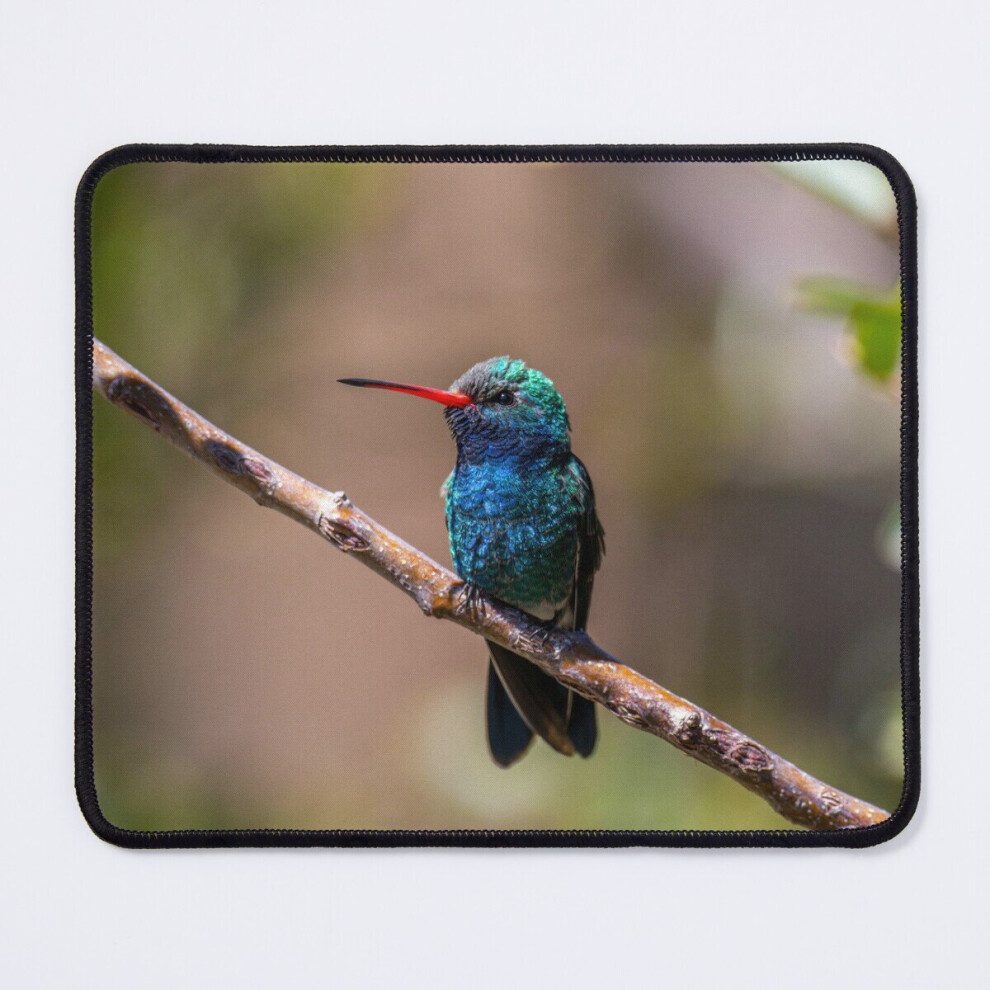 Mouse Pad Broad Billed Hummingbird Posing 11.8 X 9.8 Inch Computer Mat Gaming Office Mousepad 7802738165272