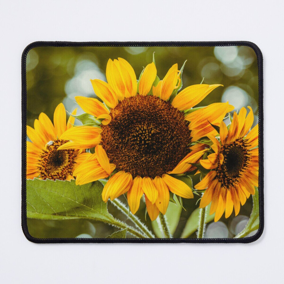 Mouse Pad Sunflower Trio 11.8 X 9.8 Inch Computer Mat Gaming Office Mousepad 7802738164787