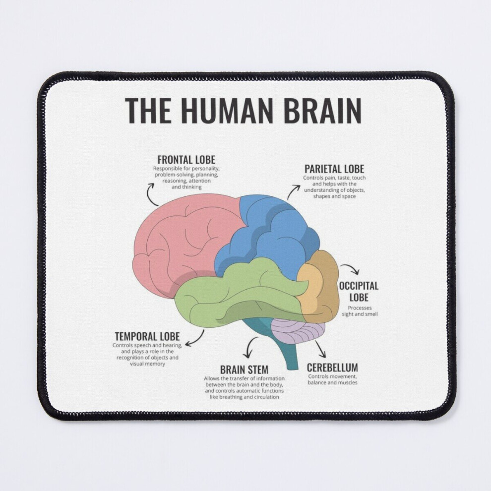 Mouse Pad The Human Brain Anatomy Mental Health Office Therapy Decor Art Therapist Psychologist 11.8 X 9.8 Inch Computer Mat Gaming Office Mousepad 7802738122596