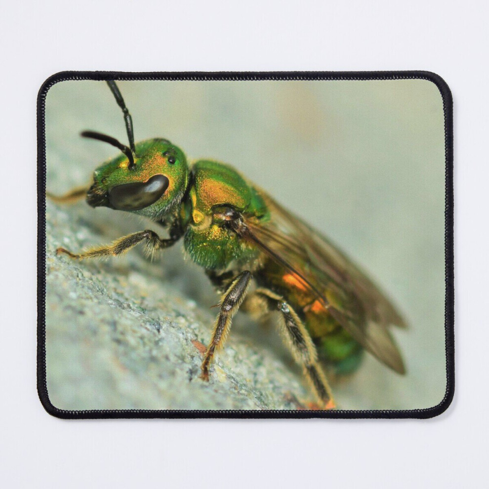 Mouse Pad All That Glitters Is Bees 11.8 X 9.8 Inch Computer Mat Gaming Office Mousepad 7802738187427