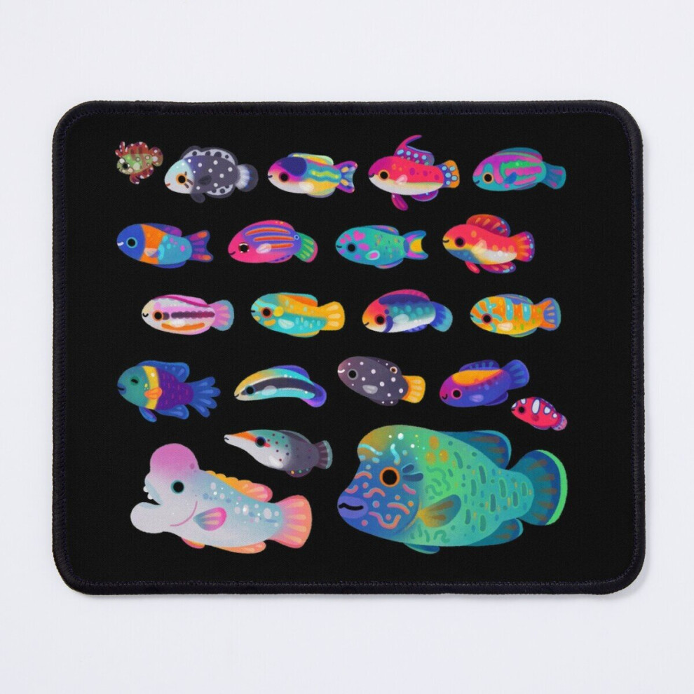 Mouse Pad Wrasse! 11.8 X 9.8 Inch Computer Mat Gaming Office Mousepad 7802738205626