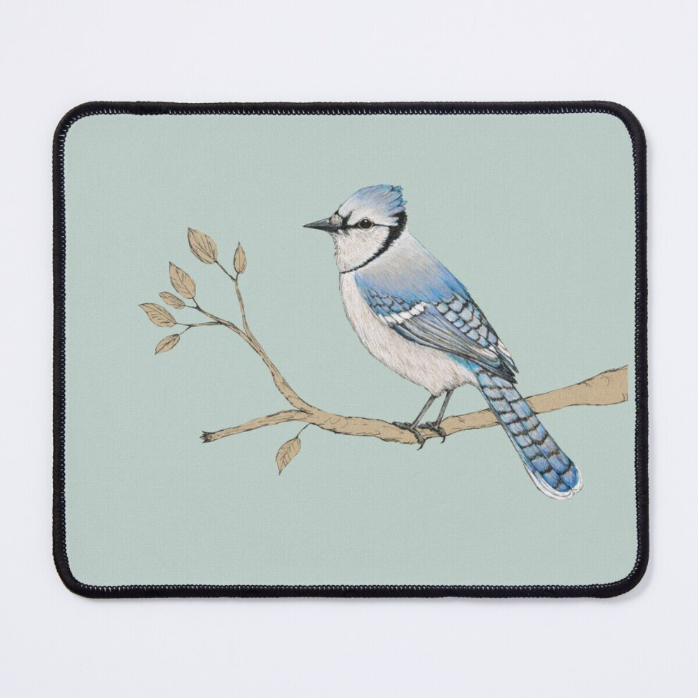 Mouse Pad Jay 11.8 X 9.8 Inch Computer Mat Gaming Office Mousepad Blue 7802738201314