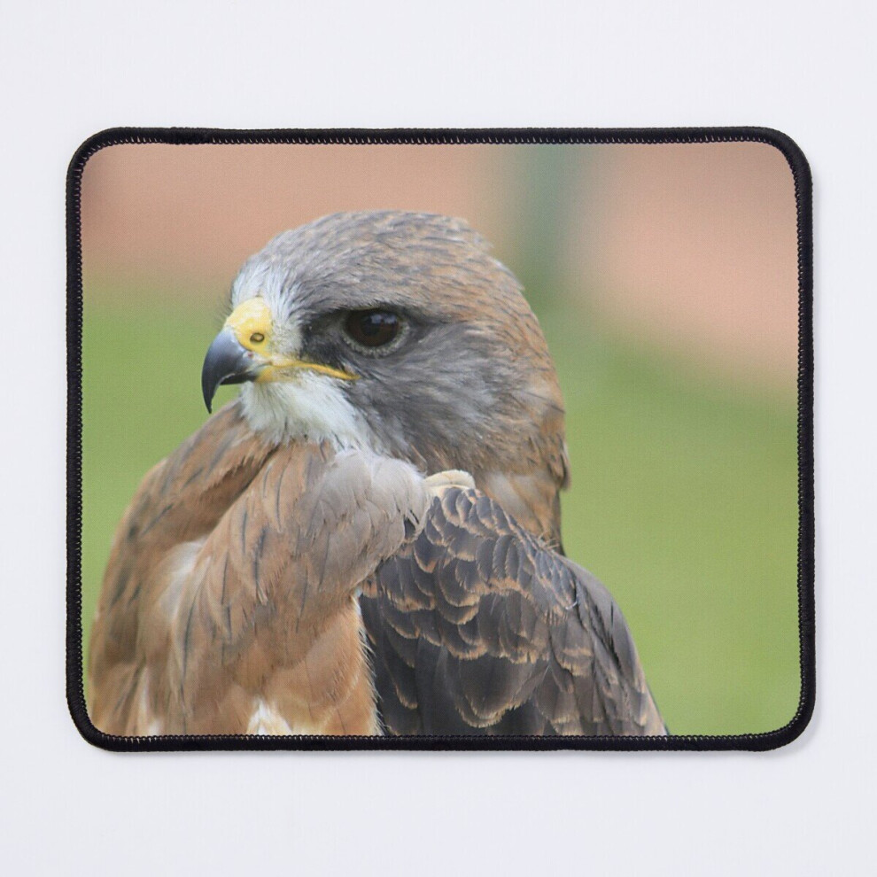 Mouse Pad Swainsons Hawk 11.8 X 9.8 Inch Computer Mat Gaming Office Mousepad 7802738148862