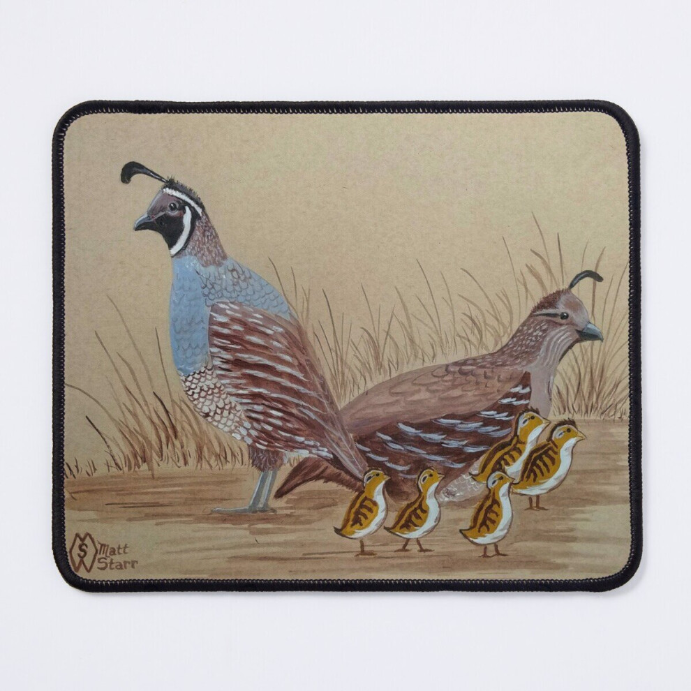 Mouse Pad California Quail With Chicks 11.8 X 9.8 Inch Computer Mat Gaming Office Mousepad 7802738195460