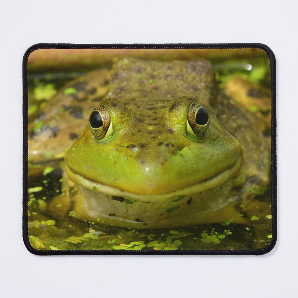 Mouse Pad Happy Frog 11.8 X 9.8 Inch Computer Mat Gaming Office Mousepad 7802738157130