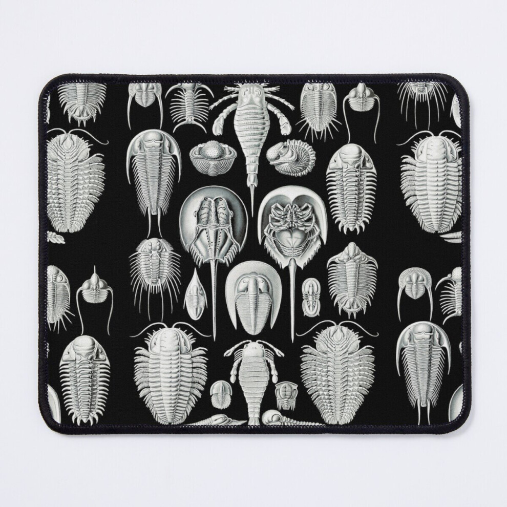 Mouse Pad Aspidoniaschildtiere -Illustration Horseshoe Crabs 11.8 X 9.8 Inch Computer Mat Gaming Office Mousepad 7802738191394