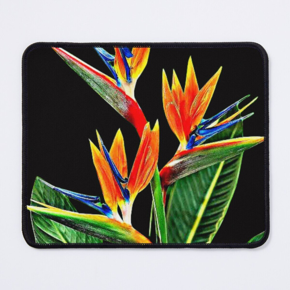 Mouse Pad Copy Of Flower Bird Of Paradise Exotic Seamless Pattern 2 11.8 X 9.8 Inch Computer Mat Gaming Office Mousepad 7802738177312
