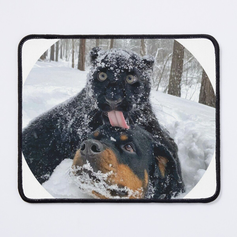 Mouse Pad Panther And Rottweiler In The Snow 11.8 X 9.8 Inch Computer Mat Gaming Office Mousepad Black 7802738201284