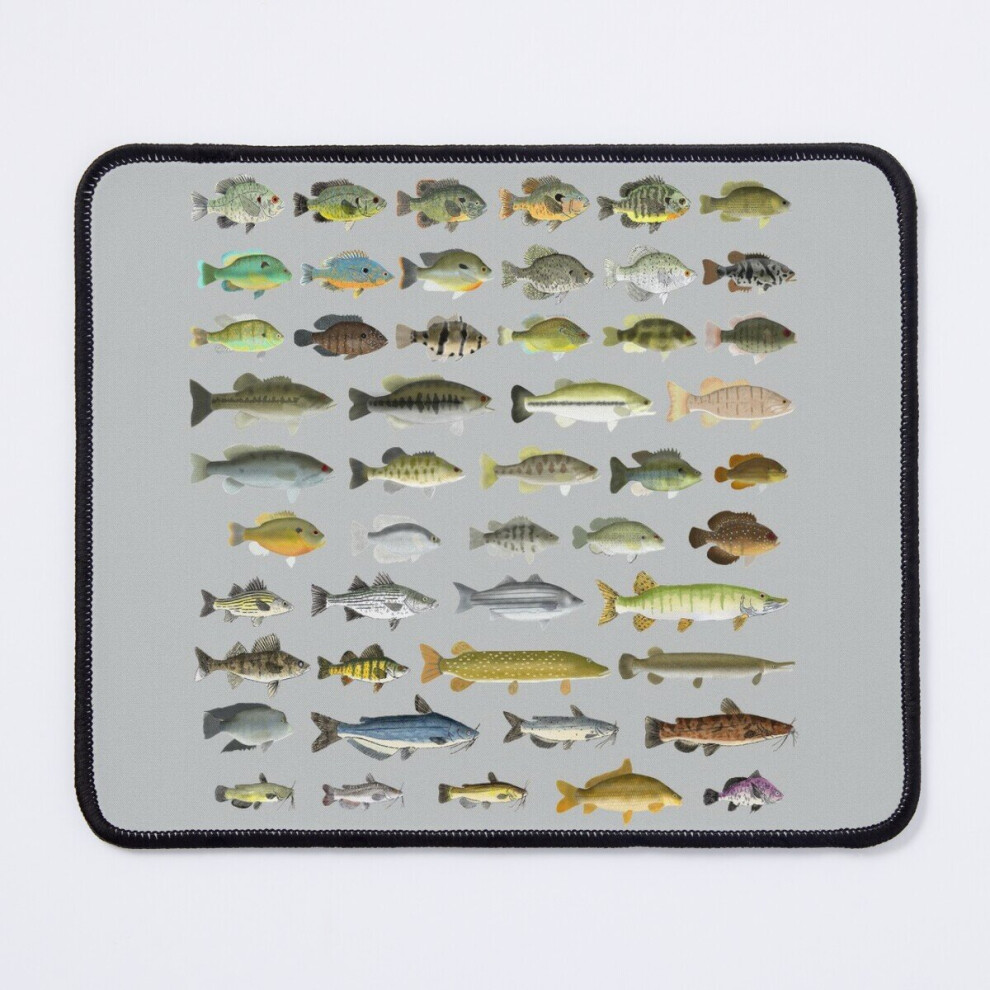 Mouse Pad North American Freshwater Fish Group 11.8 X 9.8 Inch Computer Mat Gaming Office Mousepad 7802738136296