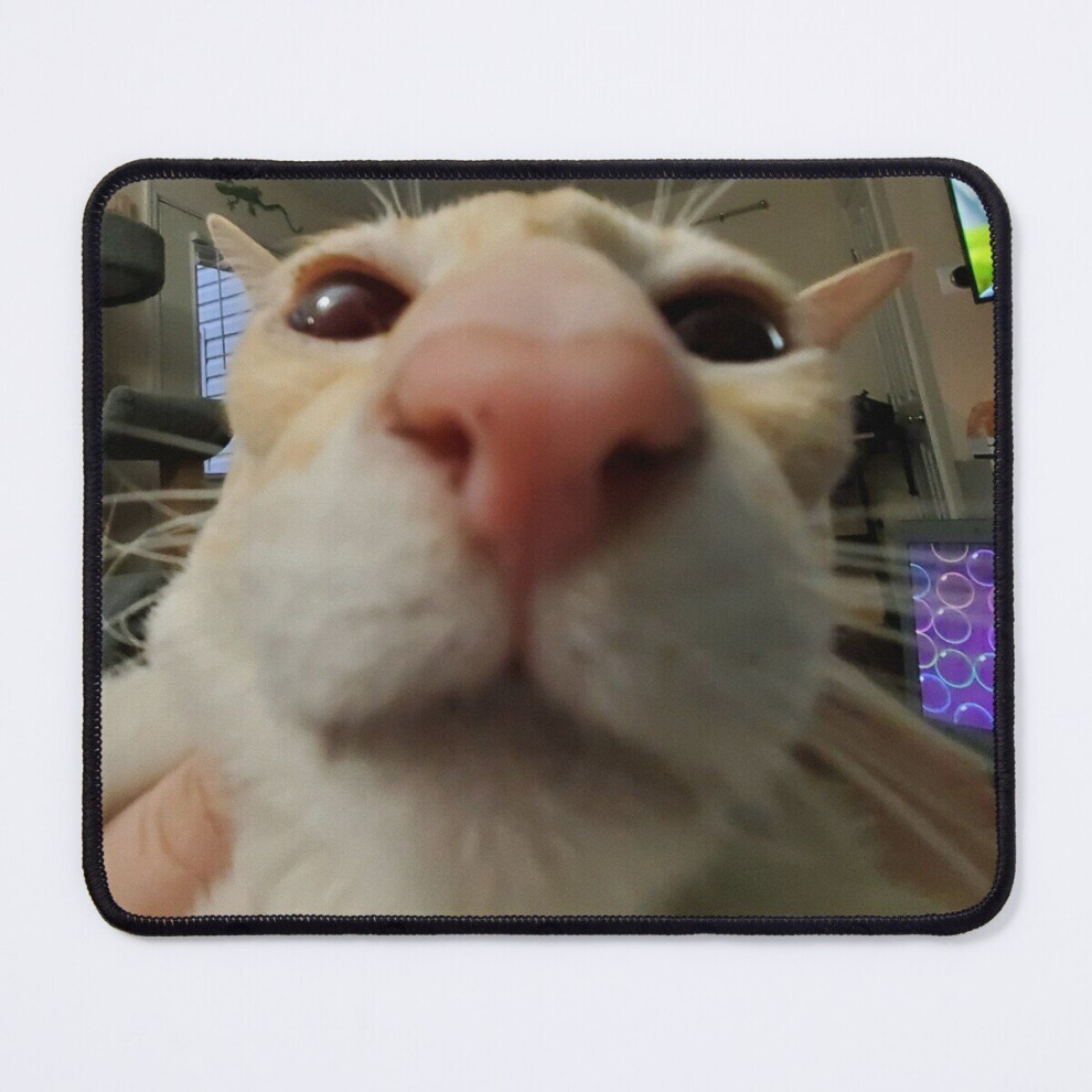 Mouse Pad Babby-Mousepad 11.8 X 9.8 Inch Computer Mat Gaming Office Mousepad 7802738110098