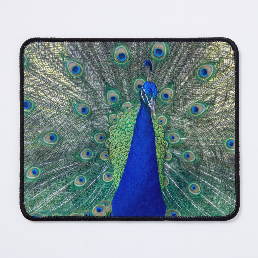 Mouse Pad Peacock Tail Feathers 11.8 X 9.8 Inch Computer Mat Gaming Office Mousepad 7802738189926