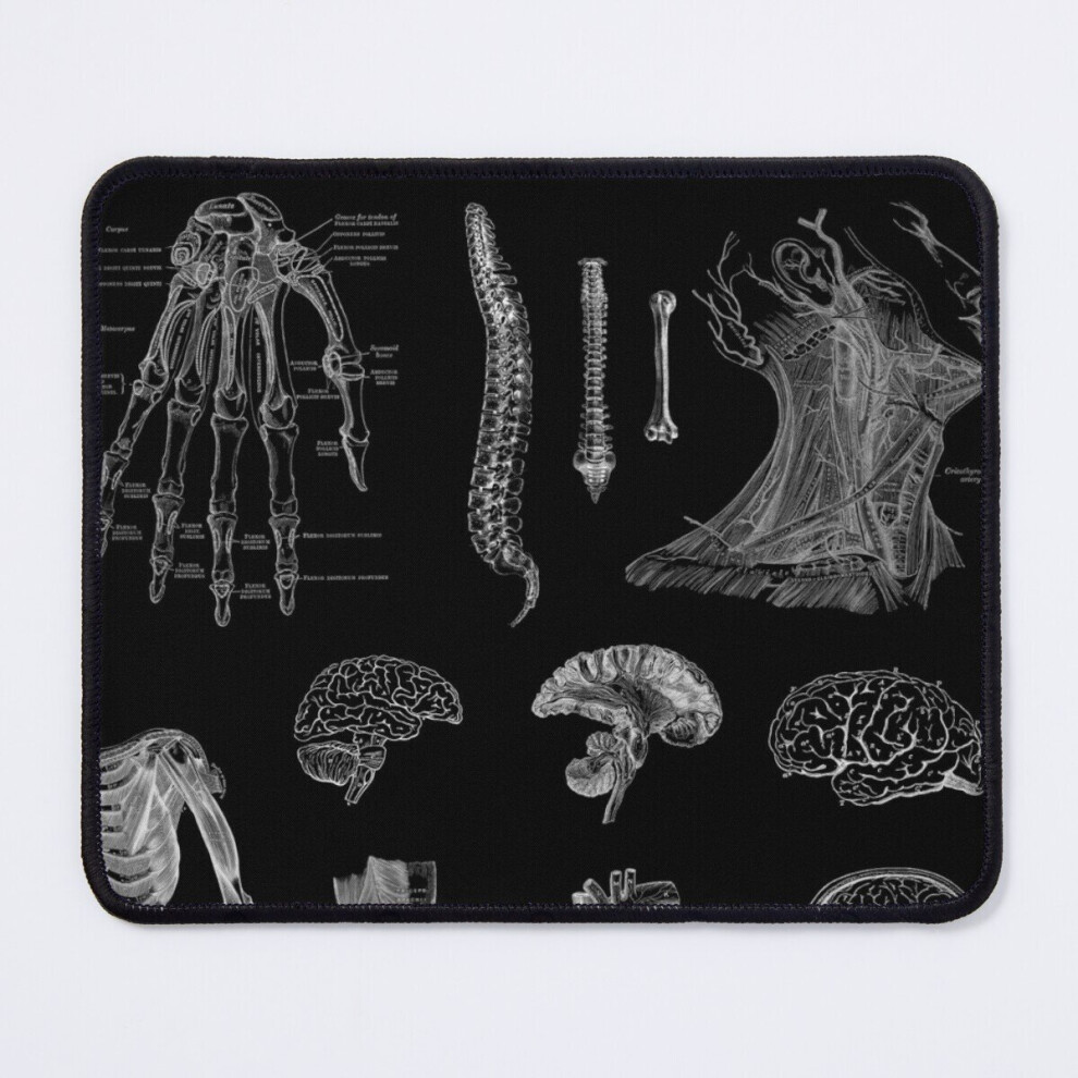 Mouse Pad Vintage Anatomy Print 11.8 X 9.8 Inch Computer Mat Gaming Office Mousepad 7802738184587