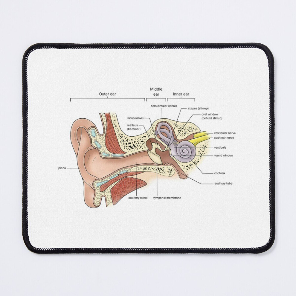 Mouse Pad Anatomy Of The Ear 11.8 X 9.8 Inch Computer Mat Gaming Office Mousepad 7802738131482