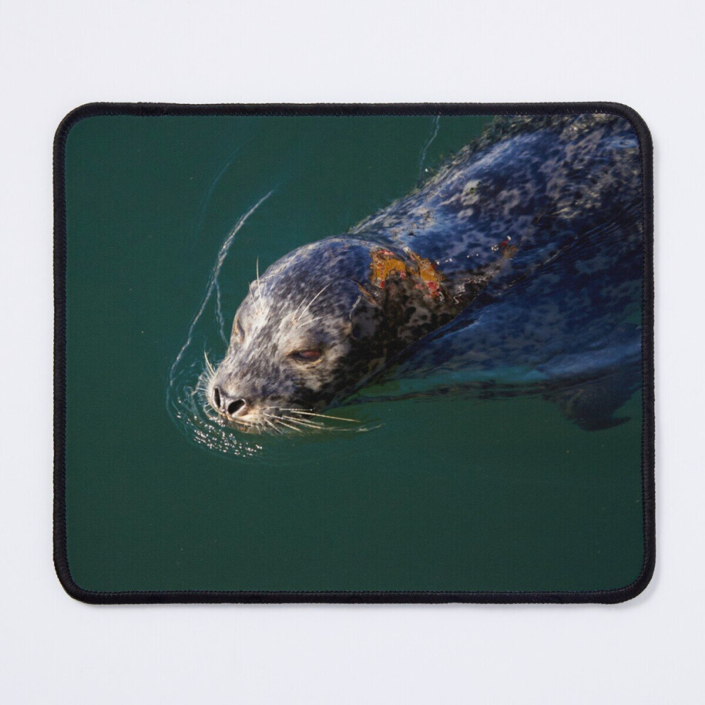 Mouse Pad Seal Swimming In The Ocean 11.8 X 9.8 Inch Computer Mat Gaming Office Mousepad 7802738166156