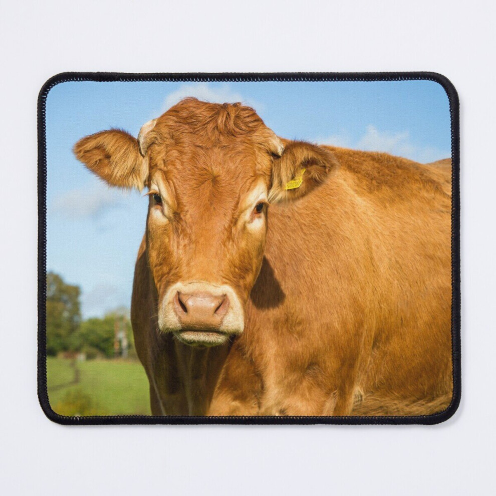Mouse Pad Limousin Cow 11.8 X 9.8 Inch Computer Mat Gaming Office Mousepad 7802738153545