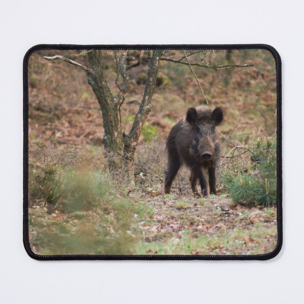 Mouse Pad Wild Piggy 11.8 X 9.8 Inch Computer Mat Gaming Office Mousepad 7802738131550