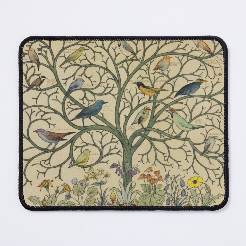 Mouse Pad Birds Of Many Climes 11.8 X 9.8 Inch Computer Mat Gaming Office Mousepad 7802738130997