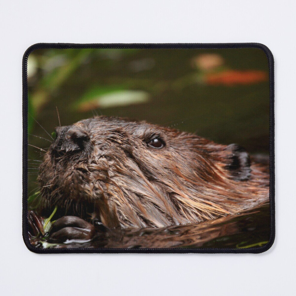 Mouse Pad Beaver Portrait 11.8 X 9.8 Inch Computer Mat Gaming Office Mousepad 7802738205565