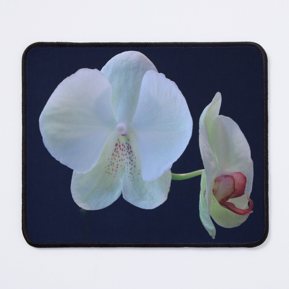 Mouse Pad Rare One-Of-A-Kind Orchid 11.8 X 9.8 Inch Computer Mat Gaming Office Mousepad 7802738149852