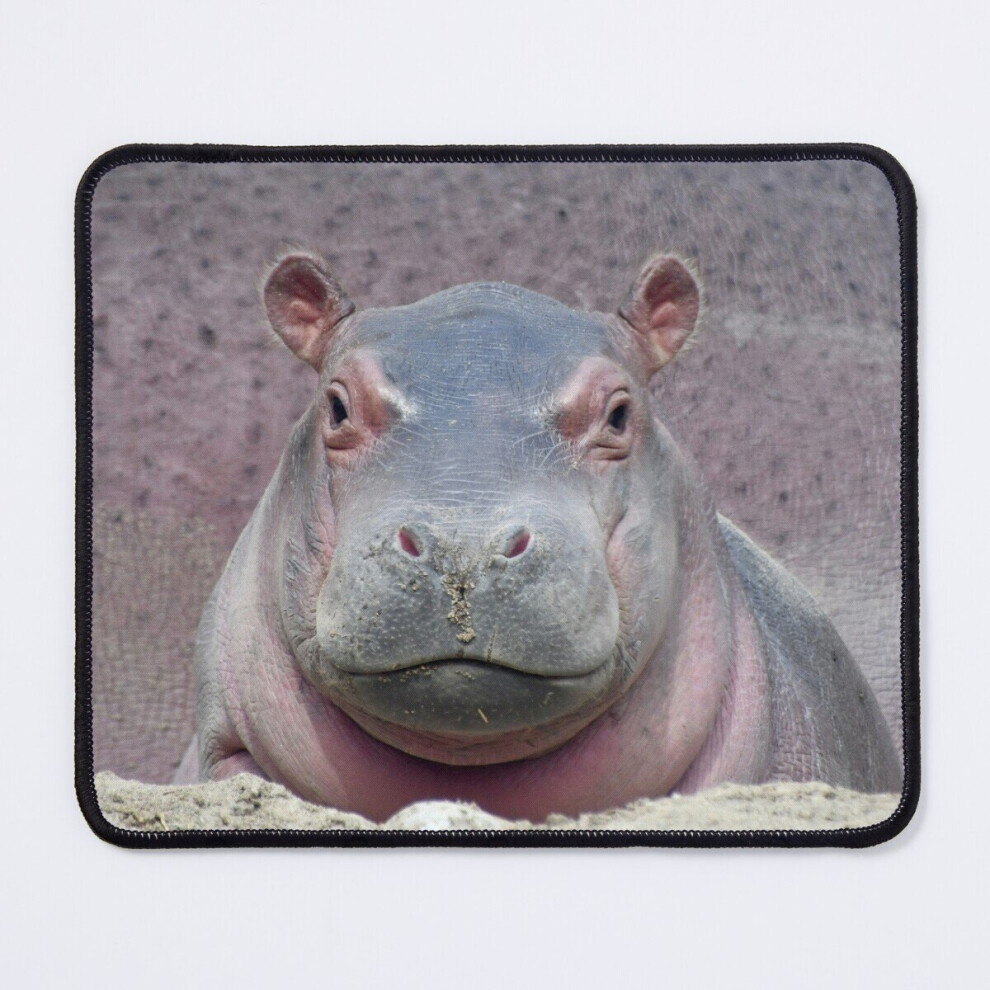 Mouse Pad Baby Hippo Fritz At The Cincinnati Zoo 11.8 X 9.8 Inch Computer Mat Gaming Office Mousepad 7802738165715