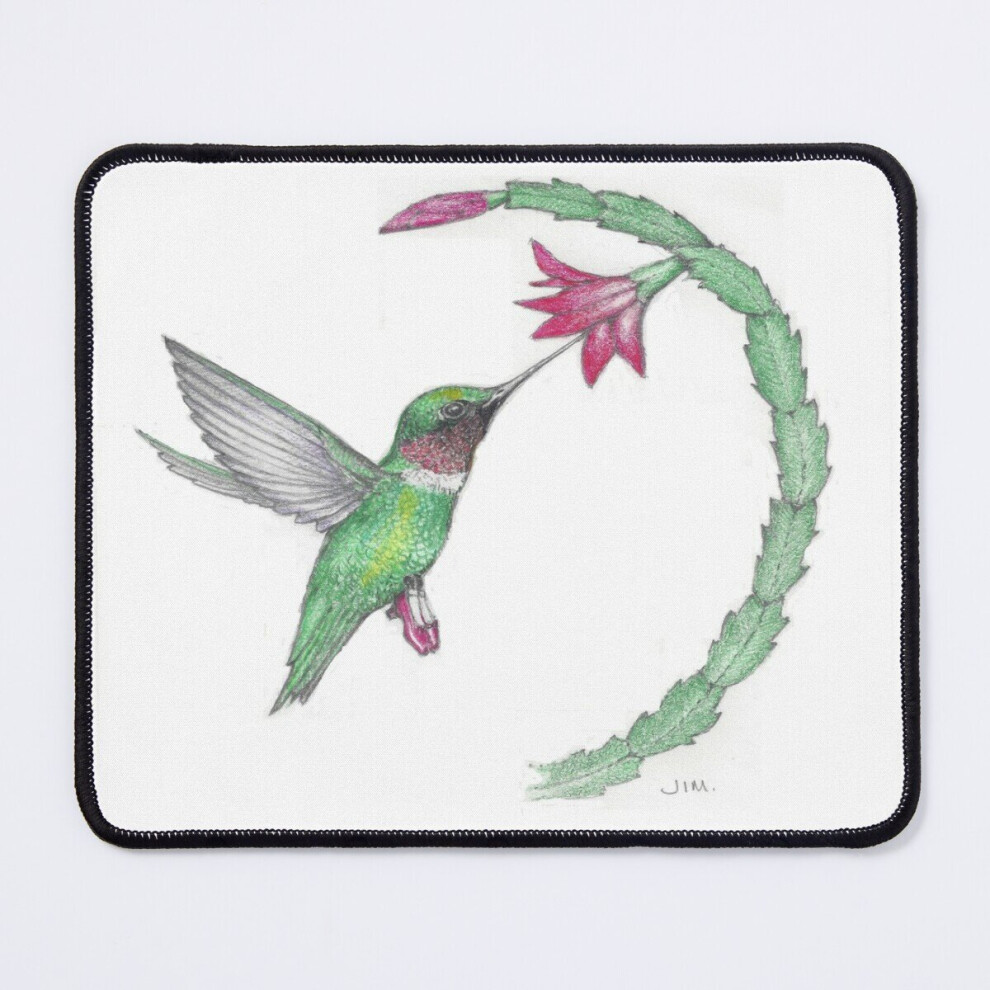 Mouse Pad Hummingbird In Ruby Slippers 11.8 X 9.8 Inch Computer Mat Gaming Office Mousepad 7802738150452