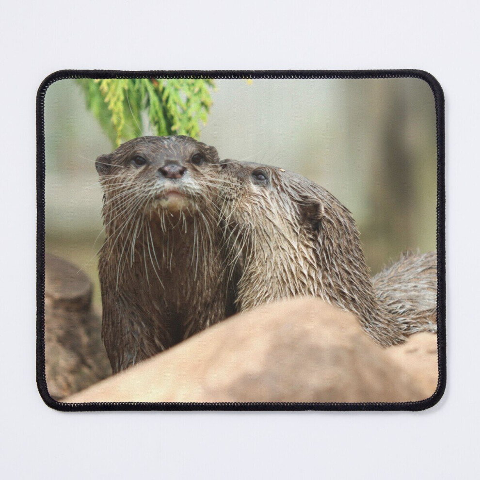 Mouse Pad Otter Kiss 11.8 X 9.8 Inch Computer Mat Gaming Office Mousepad 7802738190205