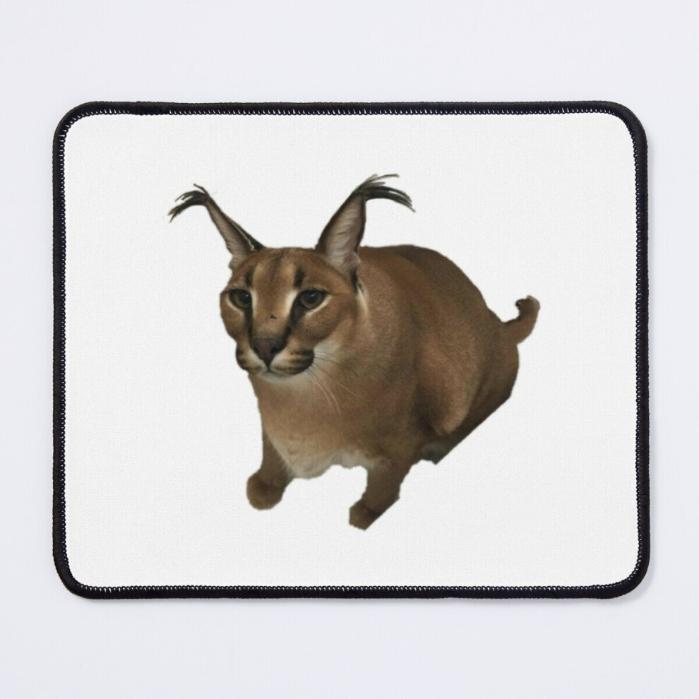Mouse Pad Floppa 11.8 X 9.8 Inch Computer Mat Gaming Office Mousepad 7802738110876
