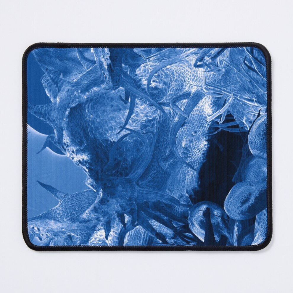 Mouse Pad Sem Plants 11.8 X 9.8 Inch Computer Mat Gaming Office Mousepad 7802738173840