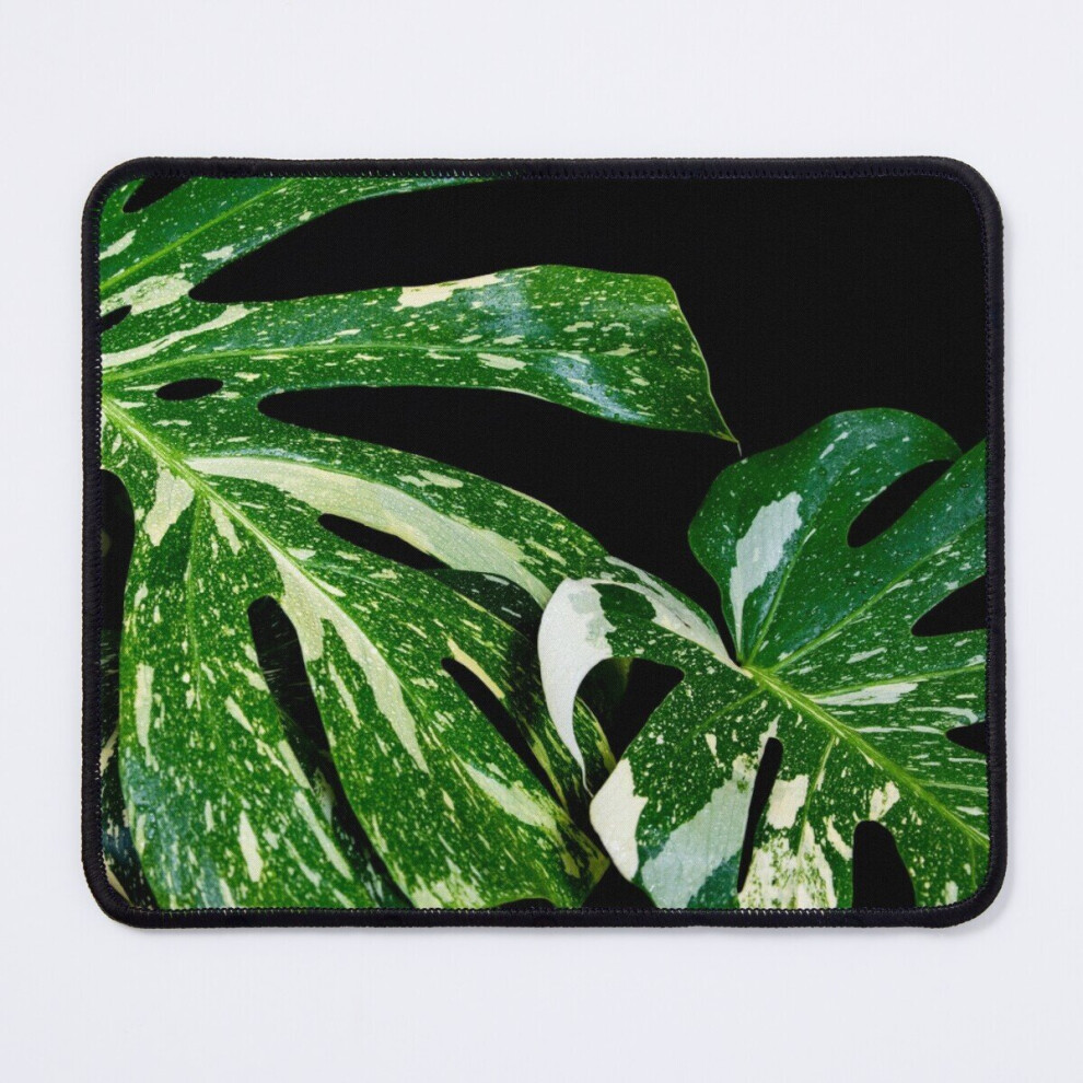 Mouse Pad Monstera Thai Constellation 11.8 X 9.8 Inch Computer Mat Gaming Office Mousepad 7802738171150