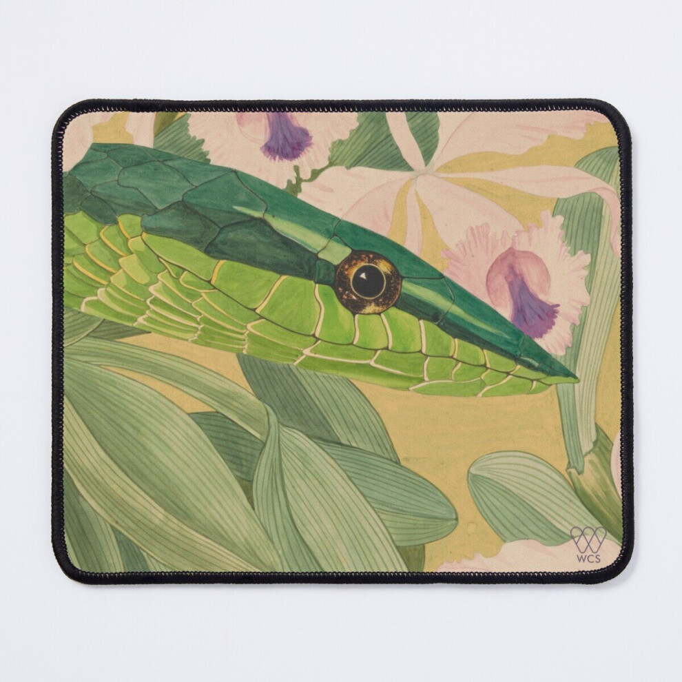 Mouse Pad Vine Snake 11.8 X 9.8 Inch Computer Mat Gaming Office Mousepad Green 7802738142600