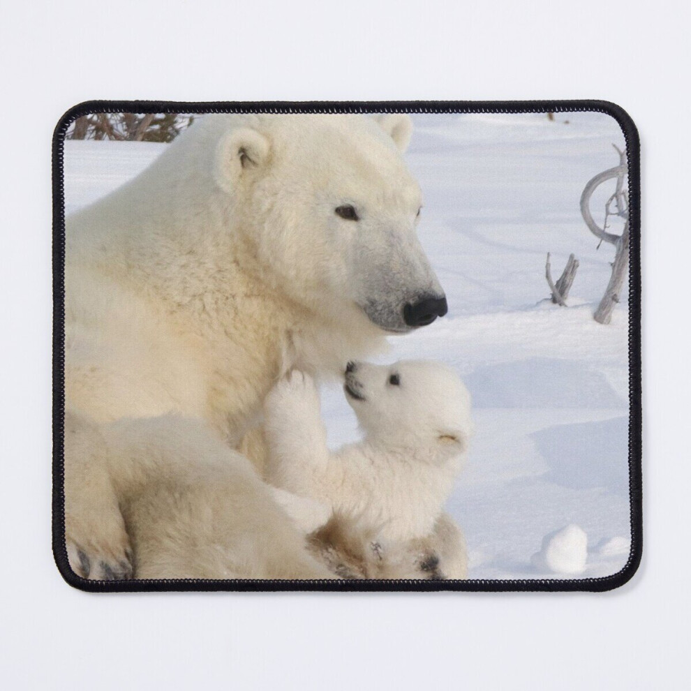 Mouse Pad Mother Polar Bear Cub 11.8 X 9.8 Inch Computer Mat Gaming Office Mousepad 7802738177343