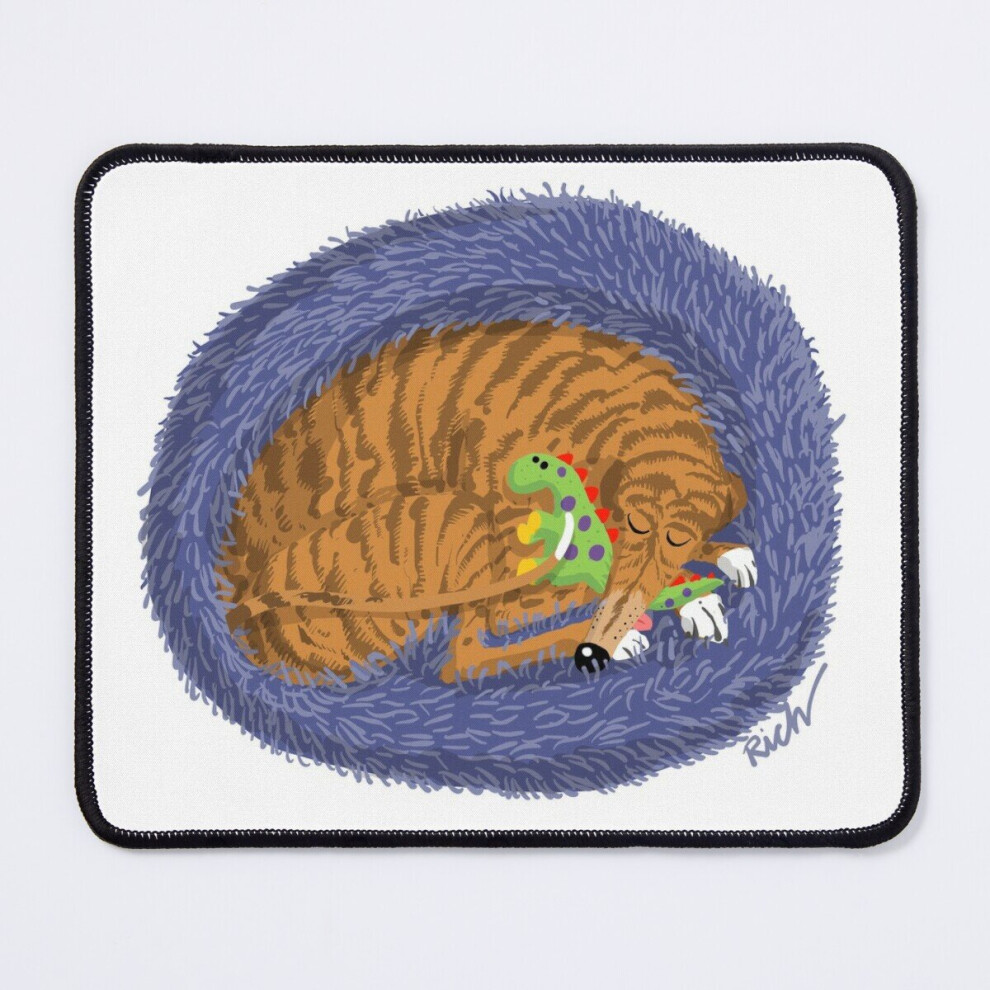 Mouse Pad Snoozin' With A Dinosaur 11.8 X 9.8 Inch Computer Mat Gaming Office Mousepad 7802738154962