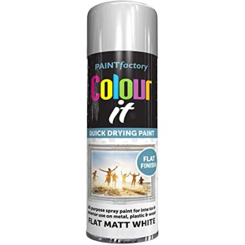 Rapide Colour It White Flat Matt Spray Paint 250ml