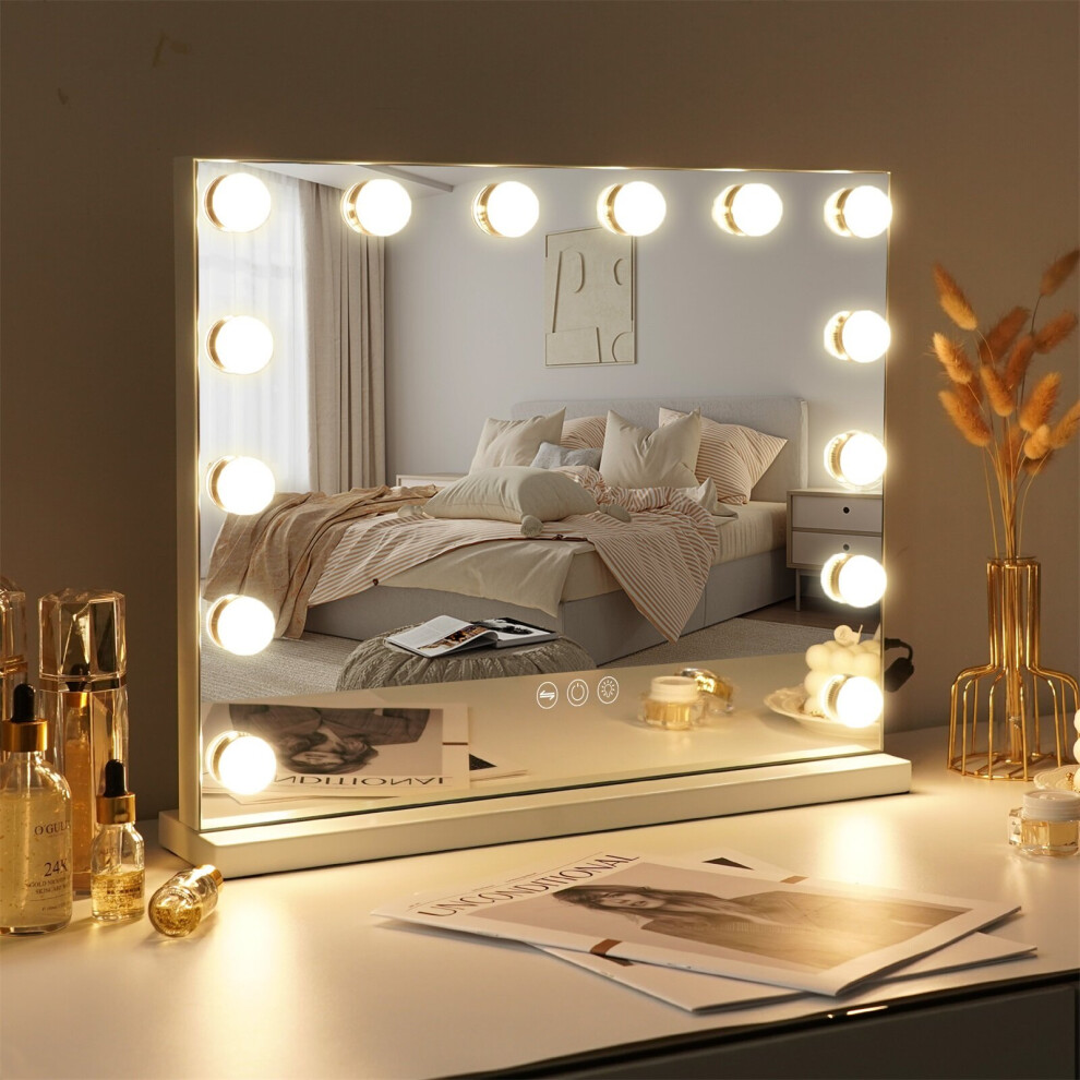 VANITII 50x40cm Hollywood Vanity Mirror with Lights